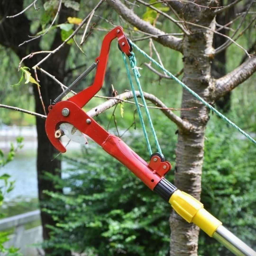 Tree,Trimming,Tools